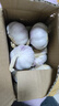 紫皮大蒜2025新干大蒜头年当季整箱新鲜蔬菜头批发红皮 净重2斤(果径4cm+) 实拍图