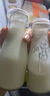 光明随心订【江浙皖专区定期购】小口瓶鲜牛奶220ml 鲜奶 低温冷链 新鲜送奶 实拍图