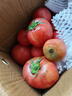 新鲜沙瓤西红柿自然成熟现摘现发番茄下蔬菜生鲜减肥单果80g+ 新鲜西红柿 5斤 带箱 实拍图