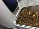 PAPIFEED可视频自动喂食器猫咪狗狗实时监控投食机宠物喂食机可见食碗 实拍图