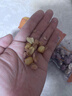 黄飞红（HUANGFEIHONG）带衣五香烘烤花生米20g*10袋坚果炒货休闲零食解馋下酒菜 实拍图