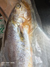 海名威 冷冻黄花鱼700g/2条 宁德大黄鱼地标 海鲜水产 生鲜鱼类 海鱼 实拍图