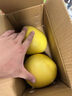 京鲜生 福建琯溪红心蜜柚2粒 净重4-4.5斤 水果礼盒 源头直发包邮 实拍图