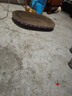 【京东物流】猫抓板磨爪猫窝一体耐磨不掉屑超大号猫玩具猫咪用品 椭圆巨无霸+猫薄荷 实拍图