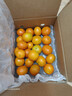 京鲜生 金秋砂糖橘/砂糖桔 2斤 生鲜水果  实拍图