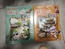 大中华寻宝记系列（1-32册）儿童中国地理科普知识百科漫画书 儿童科普人文地理漫画 6-12岁 暑假作业 一升二暑假衔接 小升初暑假衔接 [6-14岁] 实拍图