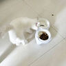 licheers猫碗陶瓷猫粮双碗斜口不黑下巴宠物幼猫咪吃饭食盆喝水喂食一体 实拍图