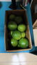 塔希提无籽青柠檬薄皮新鲜现摘青柠香水柠檬薄皮奶茶店专用包邮 【20个】塔希提青柠檬 单果50g 晒单实拍图