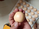 京鲜生可生食标准鲜鸡蛋30枚礼盒装3斤 源头直发 实拍图