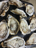 鲜京采 鲜活生蚝5XL 净重5斤 9-12只 鲜活到家 生鲜海鲜 源头直发 实拍图