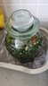 天喜（TIANXI）泡菜坛子家用加厚密封罐透明大容量咸菜罐泡酒罐腌菜坛子 10斤装 实拍图