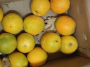 京鲜生 钦蜜9号黄金百香果 3斤单果60g+/21-27个  生鲜水果 源头直发 实拍图