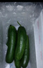 京鲜生 山东水果黄瓜 净重3斤 单果70g+ 青瓜荷兰瓜 源头直发 实拍图