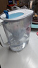 碧然德（BRITA）家用净水壶 滤水壶滤芯 MAXTRA+LE 去水垢专家滤芯 6枚装 实拍图