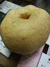 京地达梨砀山翠玉梨翠冠梨新鲜香梨子水果净重8.8斤单果250g+源头直发 实拍图
