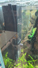 YEE鱼缸电动除油膜处理器增氧循环雨淋水面族箱去油污内置过滤器 实拍图