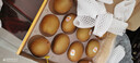 佳沛（zespri）新西兰  阳光金奇异果10粒礼盒巨大果单果约144-175g 水果 猕猴桃 实拍图
