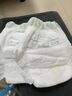 babycare金山茶花拉拉裤L38片(9-14kg)婴儿尿不湿超薄透气新生柔花苞裤 实拍图