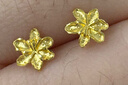 六福珠宝 足金栀子花黄金耳钉 计价G01G0027DS 约1.00克 实拍图