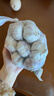 大蒜头出口品质网兜紫蒜蔬菜调料新鲜大果烧烤火锅食材 【精品网兜装】6头装 180g 实拍图