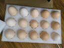 京鲜生【每日鲜蛋】无抗谷物鲜鸡蛋15枚/盒 1.5斤 源头直发 实拍图