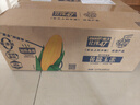 北纬47°黄糯玉米4斤(200g*10根)东北甜黏鲜玉米棒真空包装  早餐苞米 实拍图