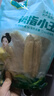 傣小瓜 拇指小玉米云南即食香糯手指玉米棒甜玉米杂粮轻食代餐早餐食品 拇指玉米500g*5袋【5斤】 实拍图