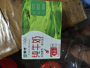 蒙牛全脂纯牛奶250ml*16盒 牛奶送礼盒装 电商定制 部分地区8月 实拍图