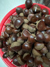 【东东农场专供】25年丹东新板栗生板栗炒菜专用新鲜蔬菜生鲜 25年新下树 6斤 送栗爪 实拍图