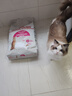 皇家成猫猫粮 肠道舒适 EP42通用粮12月以上10KG 实拍图