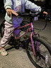 途锐达超轻儿童自行车6-8-12岁女孩男孩脚踏车小孩学生单车20寸蜂鸟粉 实拍图