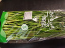 绿色韭菜250g 实拍图