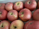 京鲜生山东烟台红富士苹果 净重9斤 单果75-80mm生鲜水果 源头直发 包邮 实拍图