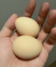 京喜加农家新鲜散养鸡蛋单枚40g正负5g谷饲蛋初生蛋溏心蛋早餐生鲜买菜 10枚 实拍图