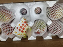 京觅四川大凉山丑苹果 净4.5斤单果75mm+ 新鲜水果冰糖心苹果源头直发 实拍图