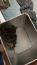 张一元茶叶茉莉花茶毛尖冷泡浓香型伴手茶礼送礼品特种200g金罐热门商品 实拍图