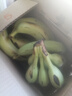 广西甄选高山香蕉新鲜当季水果青香蕉自然熟普通惊喜香甜软糯礼盒 香蕉青蕉发货 净重 5斤 实拍图