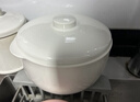 九阳（Joyoung）电炖锅电炖盅隔水炖锅煮粥煲汤锅家用多功能锅婴儿辅食锅4.5L白瓷内胆燕窝盅GD186 实拍图
