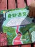 深见春夫睡得香想得美图画书系列全10册 亲子儿童图画本3-6岁幼儿园小中大班幼儿启蒙早教阅读书籍宝宝故事书睡前故事读物绘本 深见春夫“想得美”图画书系列·奇妙迷宫 实拍图