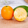 京鲜生 云南油皮金桔/金橘 净重2斤 单果12g起 生鲜水果 实拍图