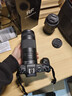 佳能（Canon） RF75-300mm F4-5.6 全画幅远摄变焦镜头 轻量化设计 适合生态/运动拍摄 实拍图