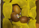 佳沛（zespri）新西兰 阳光金奇异果12粒礼盒特大果单果约122-146g 猕猴桃 水果 实拍图