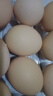 京喜加新鲜鸡蛋土鸡蛋山林自养鸡蛋40g正负5g早餐买菜溏心蛋京东包邮 【我是大码蛋50g】10枚 实拍图