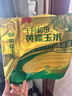 十月稻田 黄糯玉米 3.52斤(220g*8根) 25年新玉米 东北玉米 早餐 低脂粗粮 实拍图