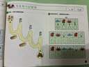 4-5岁?七田真全脑开发练习册：专注力与记忆力（3册小套） 实拍图