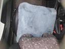 汽车通用坐垫 地垫 椅子坐垫猫窝垫沙发坐垫地毯床垫学生床毯毛绒 灰色 45厘米＊45厘米 实拍图