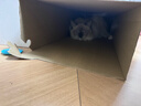 戴森（DYSON）V15 Detect Fluffy无绳吸尘器新一代蓝色【原装进口】手持无线 除螨 宠物家庭适用  实拍图