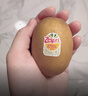 佳沛（zespri）新西兰阳光金奇异果 8个装 特大果单果重约122-146g 水果猕猴桃 实拍图