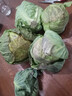 高原夏菜新鲜包菜卷心菜绿甘南菜甘蓝圆白菜时令蔬菜健康营养早餐 5-6斤农家好菜 实拍图