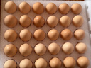 京鲜生可生食标准鲜鸡蛋30枚礼盒装3斤 源头直发 实拍图